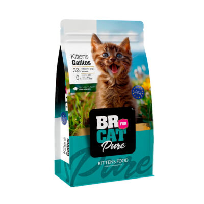 br-for-cat-gatitos-salmon-front.jpg BR FOR CAT PURE GATITOS 1KG